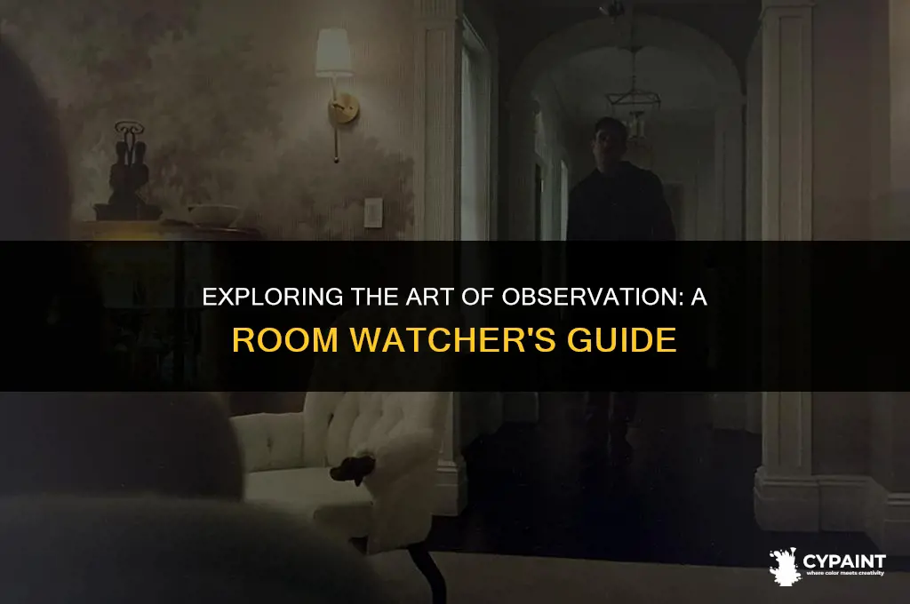 what is it called if you watch a painting room