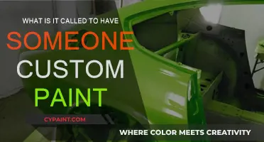 Custom Paint Jobs: Elevating Your Space with Art