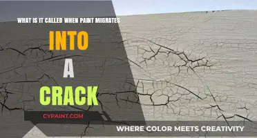 The Art of Aging: Understanding Paint Migration in Cracks