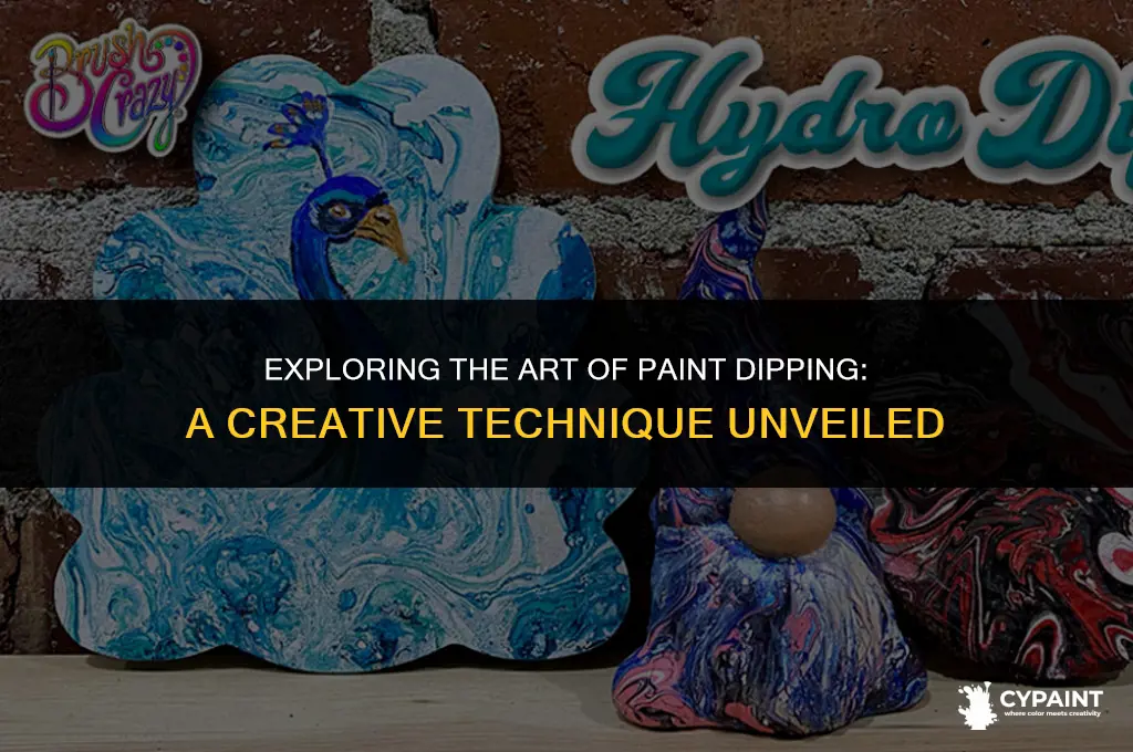 what is it called when they dip an item paint
