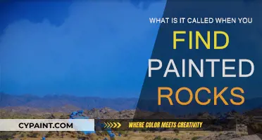 The Creative Art of Finding Painted Rocks