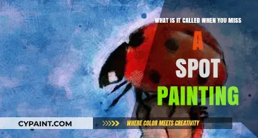 The Art of Imperfection: Embracing the Missed Spot in Painting
