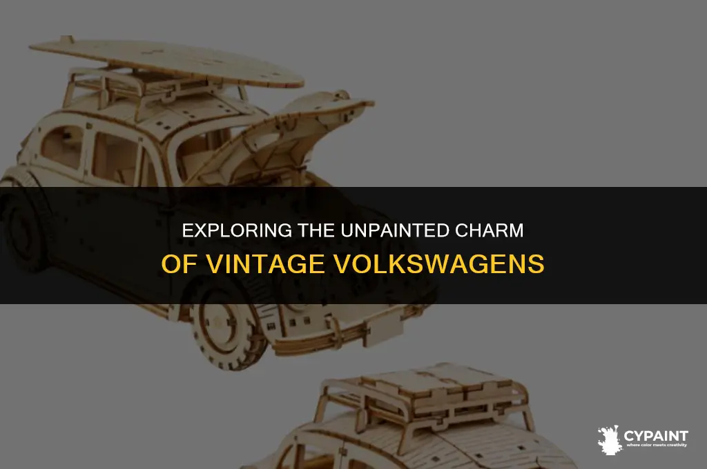 what is it when you do not paint vintage vw