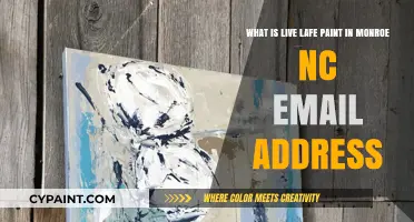 Exploring Live Life Paint in Monroe, NC: Contact Info and More