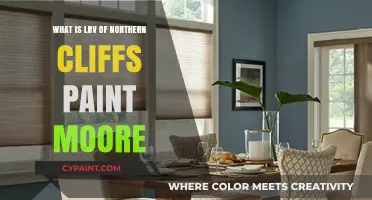 Understanding LRV of Northern Cliffs Paint by Moore