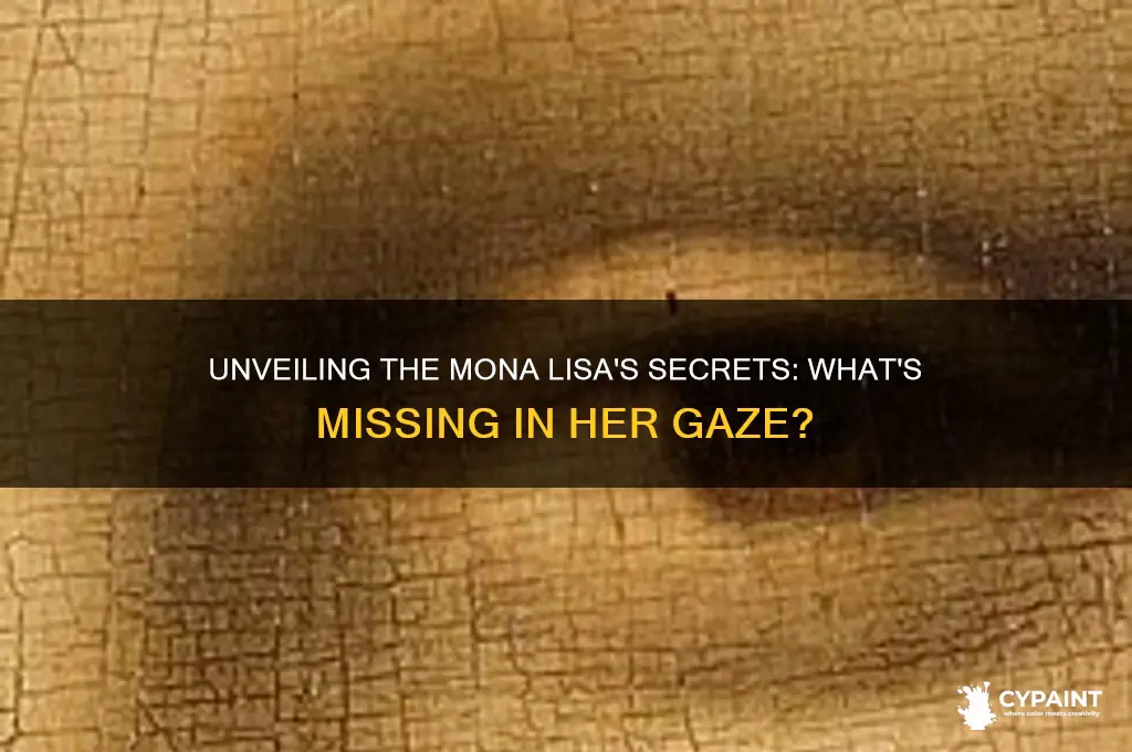 what is missing in the mona lisa painting