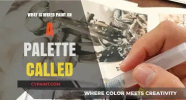 Understanding the Term for Mixed Paint on a Palette