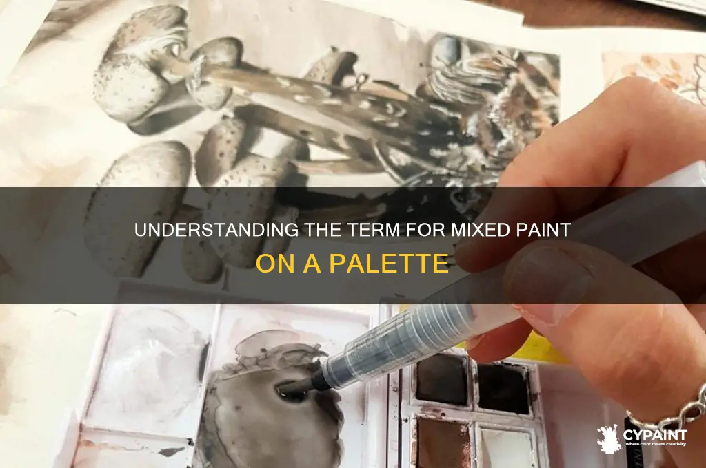 what is mixed paint on a palette called