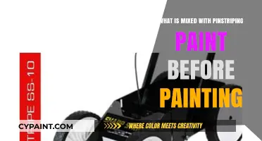 Enhancing Pinstriping Paint: Essential Mix-Ins for Precision and Durability
