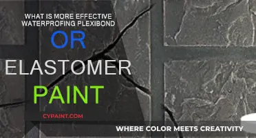 Plexibond vs. Elastomeric Paint: Which Offers Better Waterproofing?