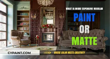 Regular Paint vs. Matte Finish: Which Costs More for Your Project?