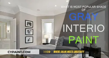 Trending Gray Paint Colors for Interiors