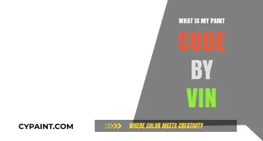 Find Your Car's Paint Code Using VIN: A Simple Guide