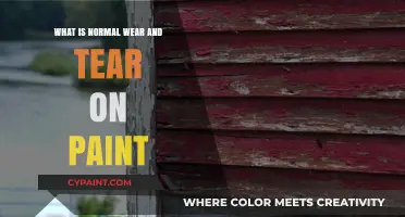 Understanding Normal Wear and Tear on Paint: Causes and Solutions