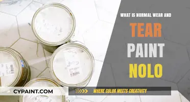 Understanding Normal Wear and Tear Paint: A Nolo Guide