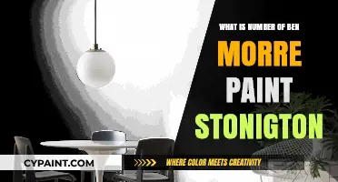 Understanding the Number of Ben Morre Paint Stonington Variations