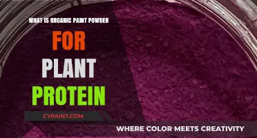 Organic Paint Powder: A Plant-Based Protein Revolution for Eco-Friendly Art