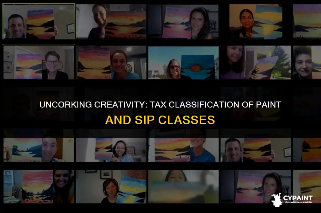 what is paint and sip classes classified as on taxes