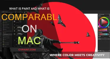 Paint vs Mac: Exploring Similarities