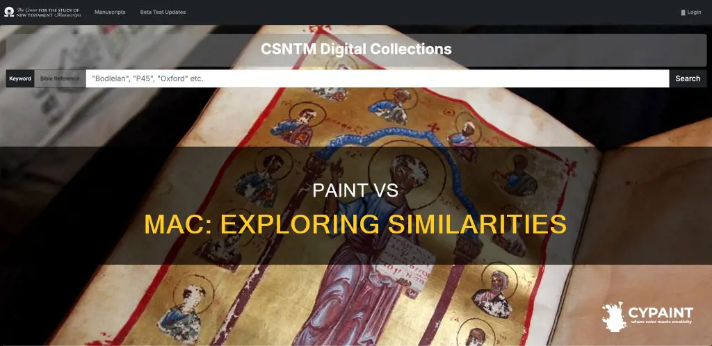 what is paint and what is comparable on mac