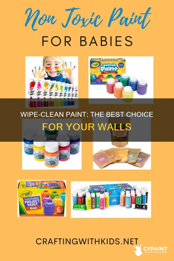 what is paint called that you can wipe down