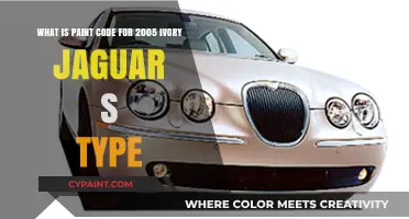 Unlocking the Mystery: 2005 Ivory Jaguar S-Type Paint Code Revealed