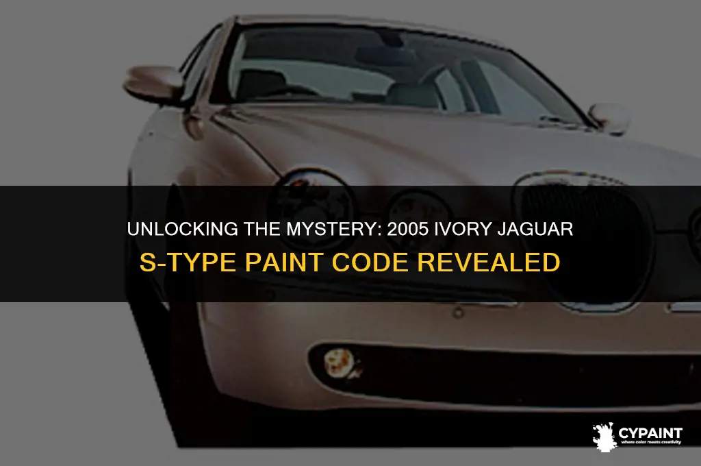 what is paint code for 2005 ivory jaguar s type