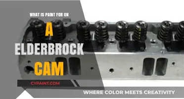 Understanding Paint's Role on Elderbrock Cams: Function and Benefits