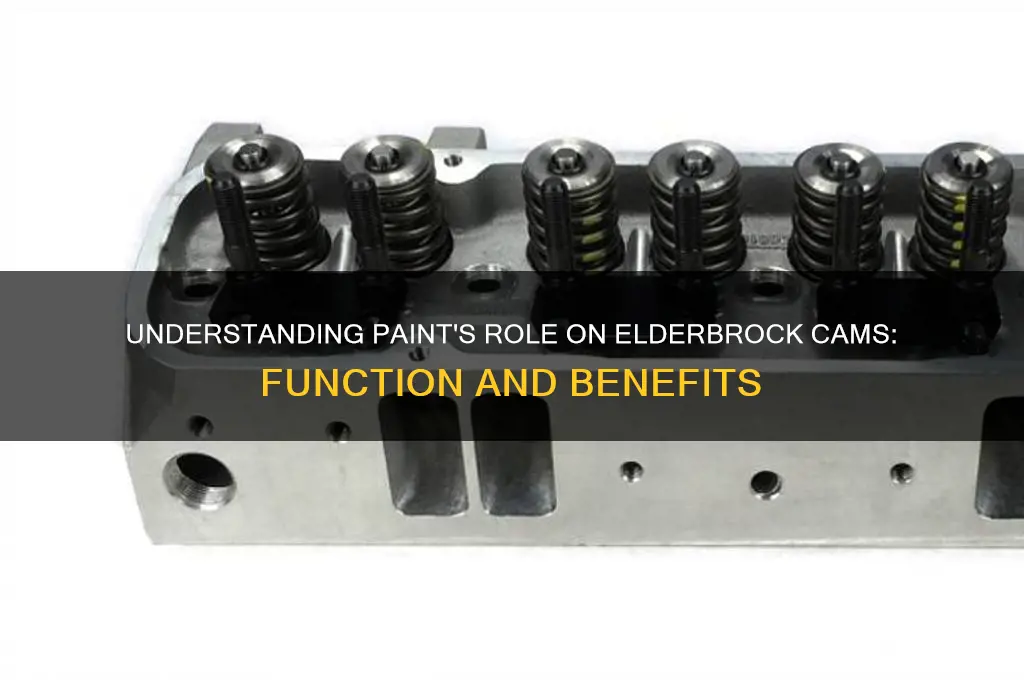 what is paint for on a elderbrock cam