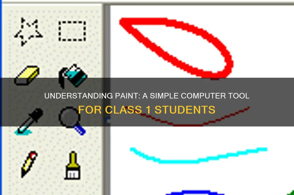 what is paint in computer for class 1