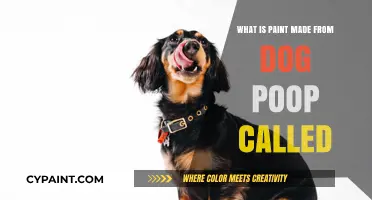 Unusual Art: Exploring the Creation of Dog Poop Paint
