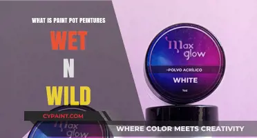 Wet n Wild Paint Pot Peintures: A Comprehensive Guide