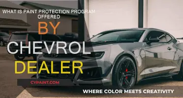 Explore Chevrolet's Paint Protection Program Benefits