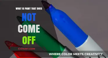 Permanent Paint Solutions: Understanding Indelible Coatings and Their Uses