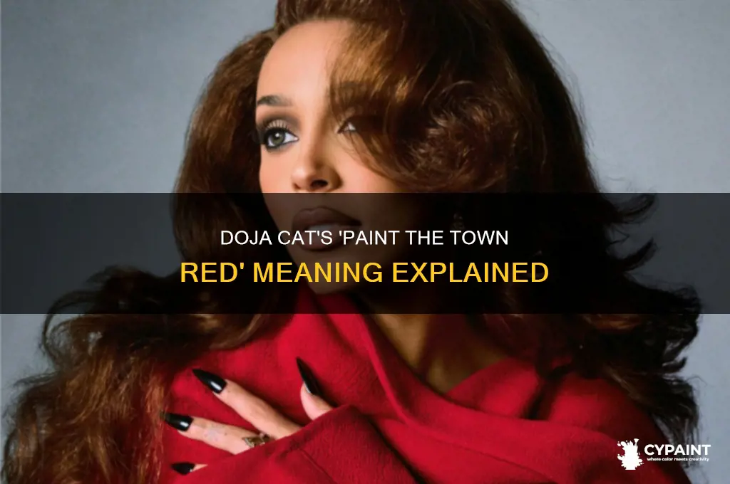 what is paint the town red about doja