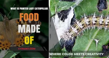 Painted Lady Caterpillar Diet: Unveiling the Ingredients of Their Food