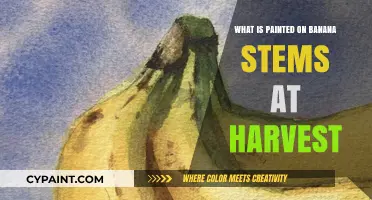 Artistic Harvest Traditions: Exploring Banana Stem Paintings and Their Significance