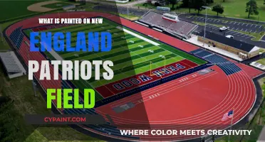 Unveiling the Iconic Design: What's Painted on Patriots' Field?