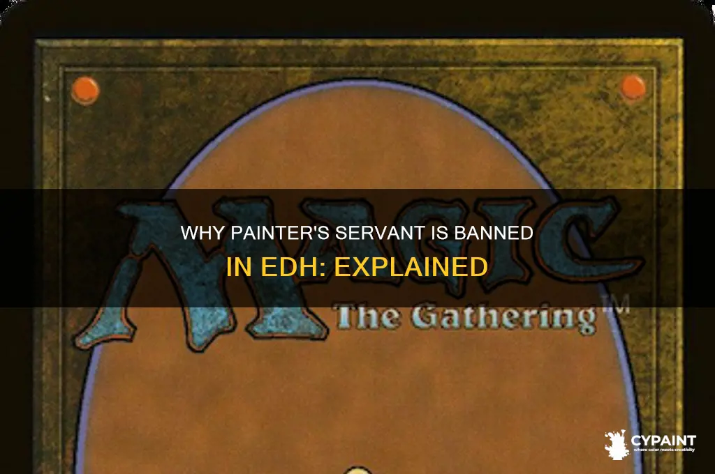 what is painter