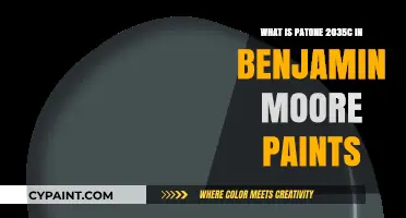 Benjamin Moore's Perfect Match for Pantone 2035C Revealed