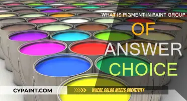 How Pigment Powers Paint: A Guide to Color Essentials