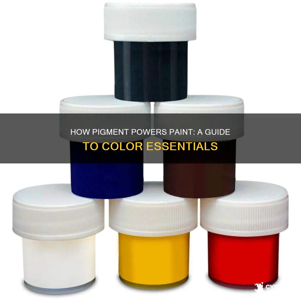 what is pigment in paint group of answer choices