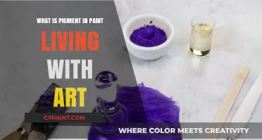 Understanding Pigment in Paint: Enhancing Your Artistic Journey with Color