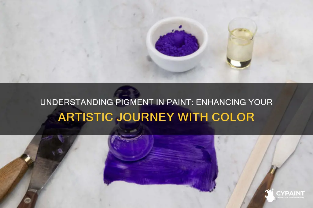 what is pigment in paint living with art