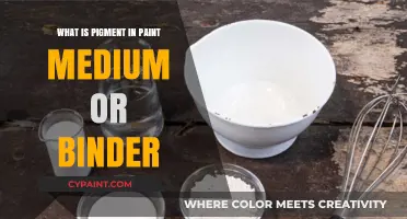 Understanding Pigment: Its Role in Paint Medium and Binder Explained