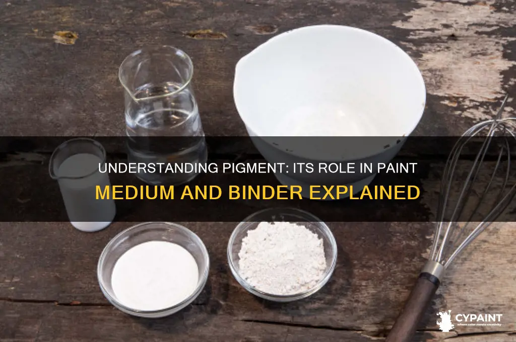 what is pigment in paint medium or binder