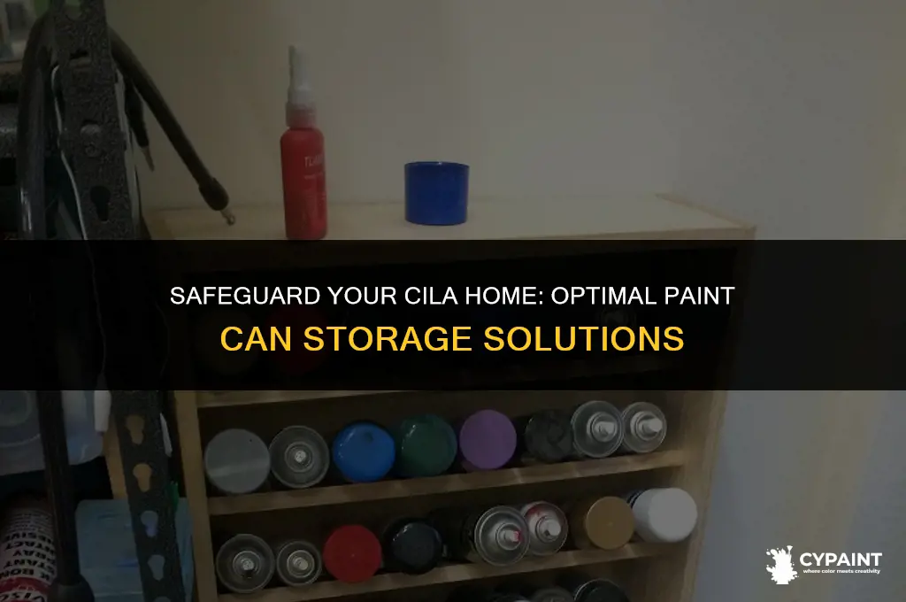 what is proper storage of paint cans for cila homes