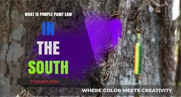 Understanding the Purple Paint Law in Southern States: A Guide