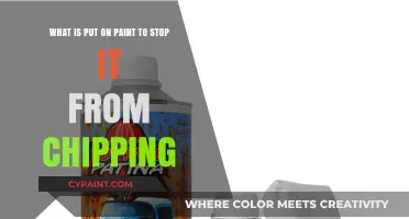 Protect Your Paint: Top Coatings to Prevent Chipping