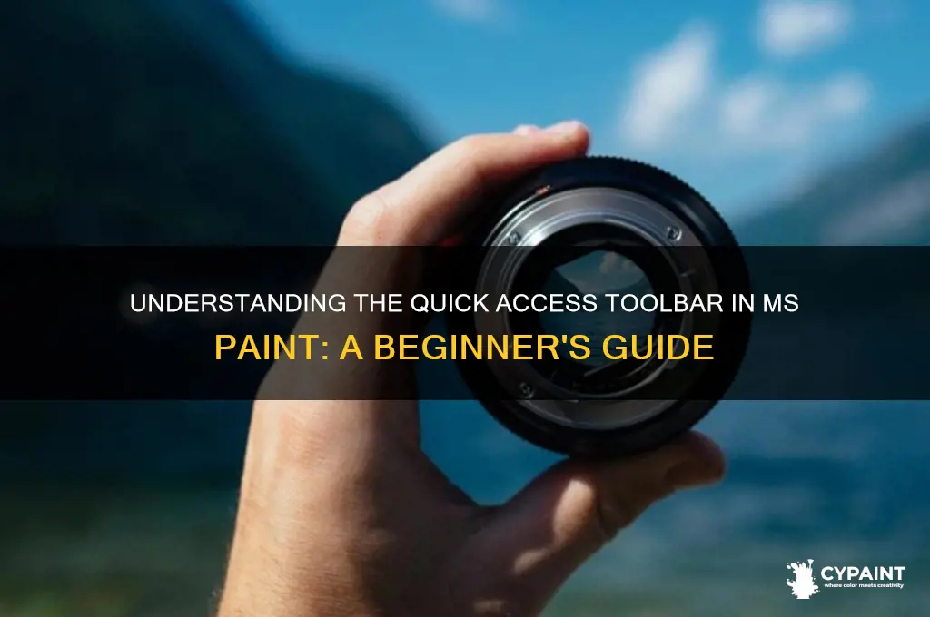 what is quick access toolbar in ms paint